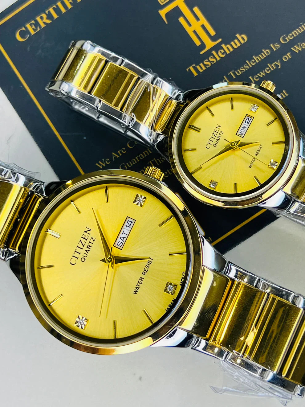 Two Tone Gold Axiom Couple Watch